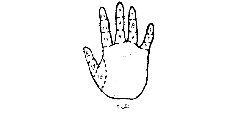 شکل 2 - معرفی کف دست و انگشت ها