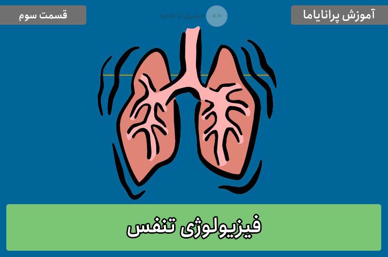 آموزش پرانایاما: فیزیولوژی تنفس – قسمت سوم